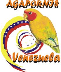 Agapornis Venezuela