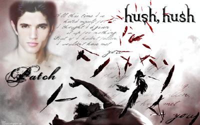 Hush Hush, Saga 