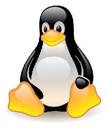 Club de Informatica