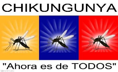 chikungunya y como prevenirla