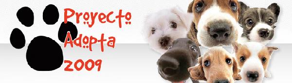Proyecto Adopta