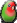 Vicio de agapornis