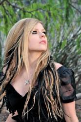 Fans Club Avril Lavigne 