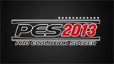PES-13