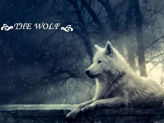 Imperio The Wolf