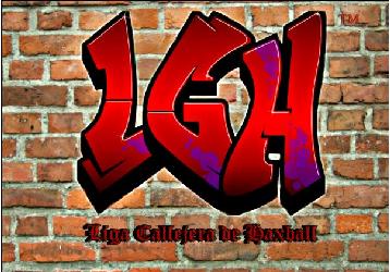 Liga Callejera de Haxball