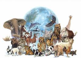 Los Animales en Peligro de Extincion
