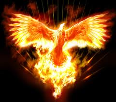 orden barquida del fenix