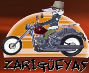 EL FORO DE LOS ZARIGEYAS