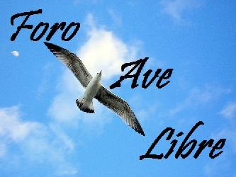 Foro Ave Libre.